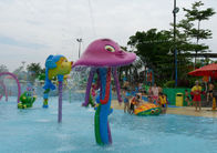 Van het het Park Zwembad van het de zomerthema van de de Octopusnevel het Parkmateriaal van Aqua met Glasvezel
