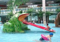 Frog Water Slide Kids Water Speeltoestellen Voor Zwembad
