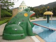 Frog Water Slide Kids Water Speeltoestellen Voor Zwembad